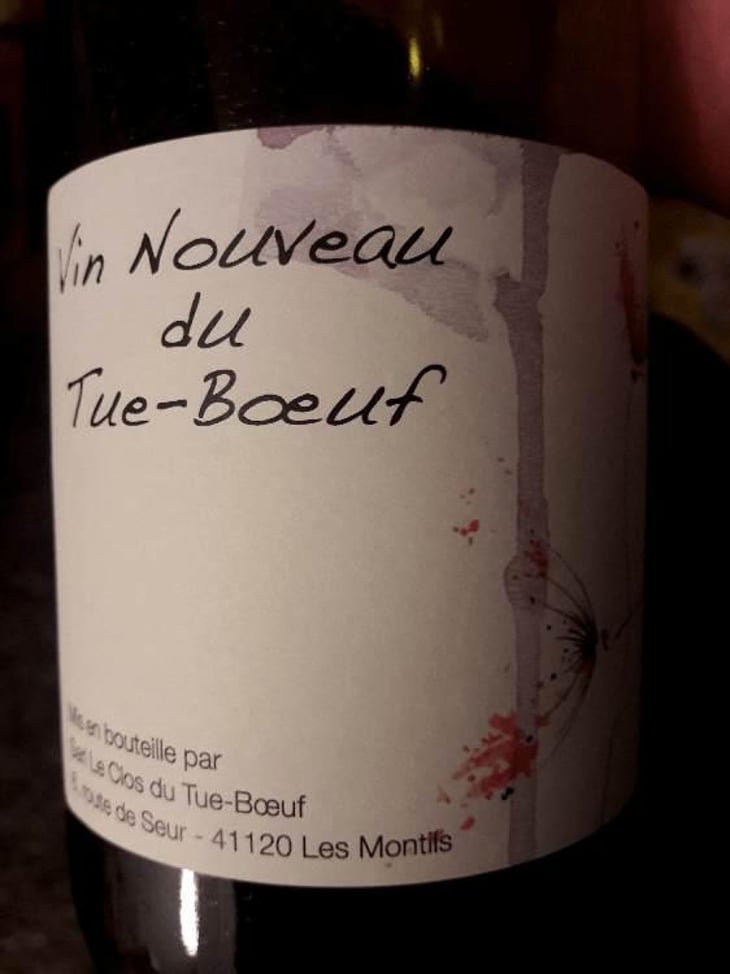 Vin Nouveau du Tue-Boeuf - Clos du Tue-Bœuf - Zoé, Louise & Thierry Puzelat 
