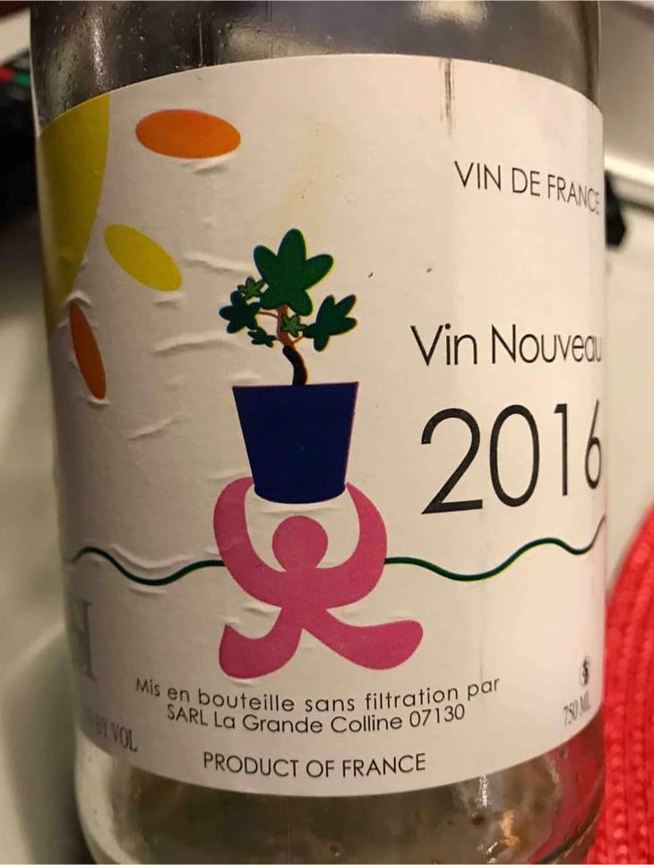Vin Nouveau - Domaine de la Grande Colline - Hirotake Ooka 