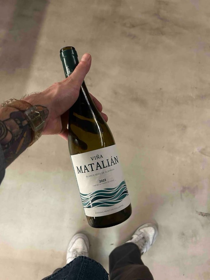Viña Matalián - Primitivo Collantes - Primitivo Collantes -2023