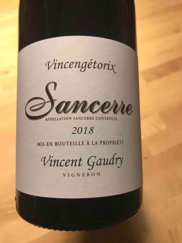 Vincengétorix - Vincent Gaudry - Vincent Gaudry 