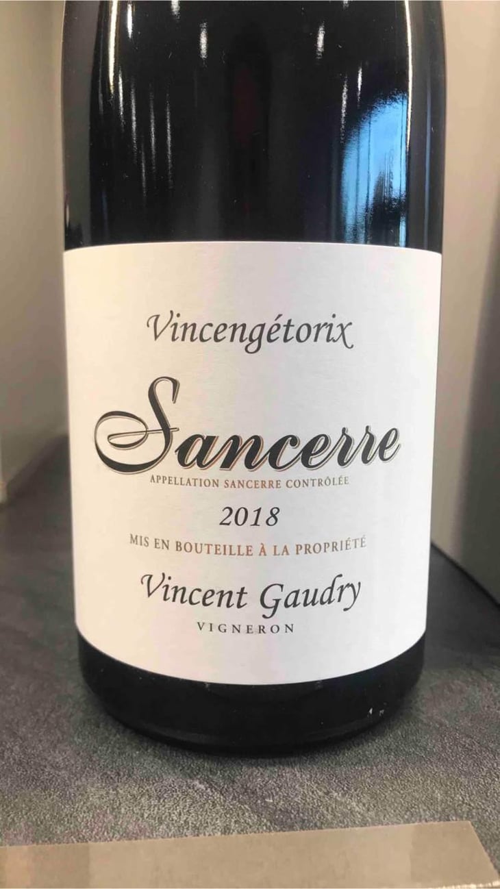Vincengétorix - Vincent Gaudry - Vincent Gaudry 