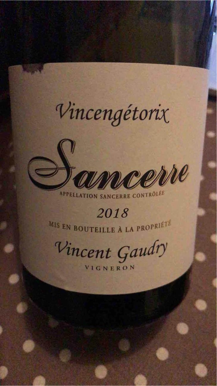 Vincengétorix - Vincent Gaudry - Vincent Gaudry 
