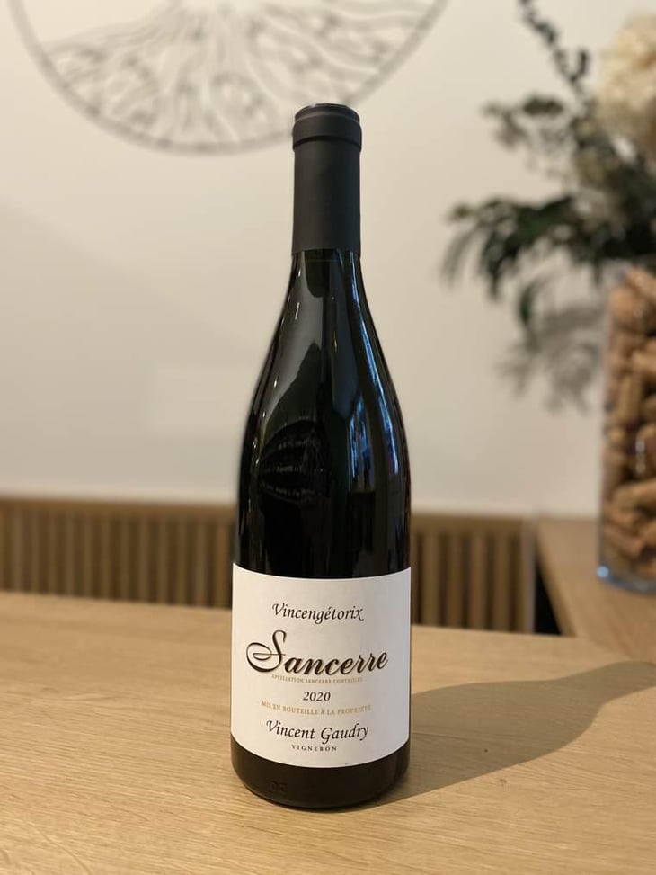 Vincengétorix - Vincent Gaudry - Vincent Gaudry 