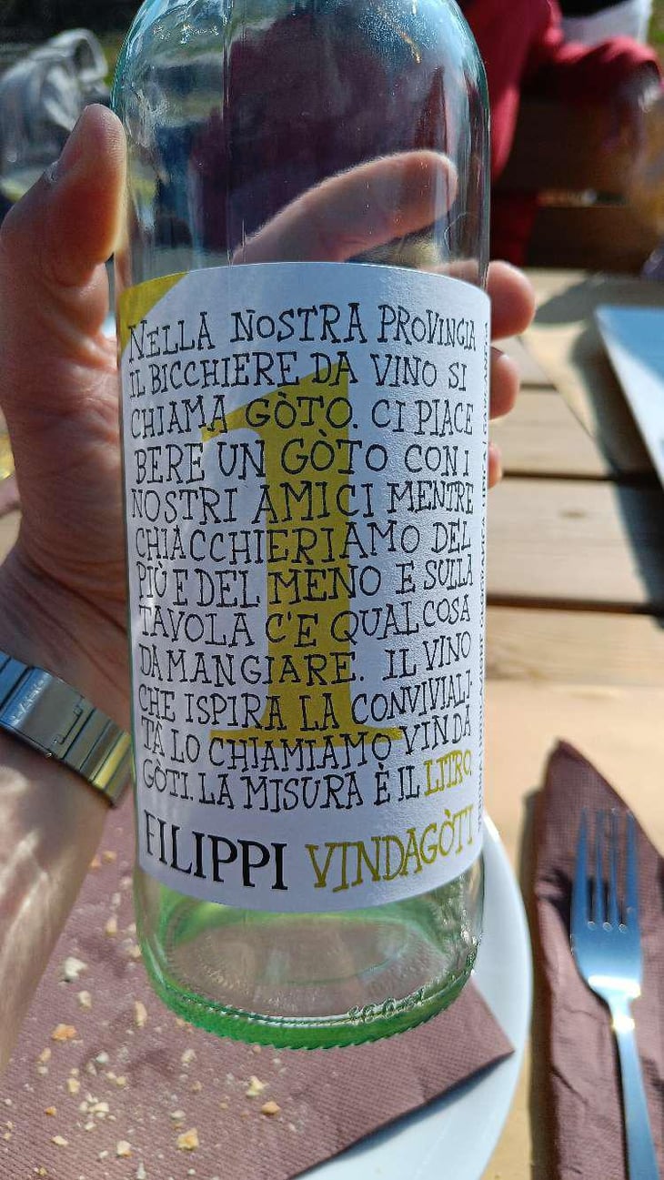 Vindagoti - Visco & Filippi Azienda Agricola - Filippo Filippi 