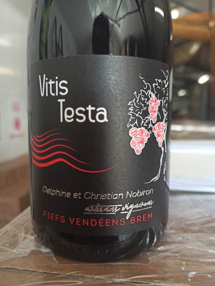 Vitis Testa - Domaine des Granges - Delphine & Christian Nobiron -2020