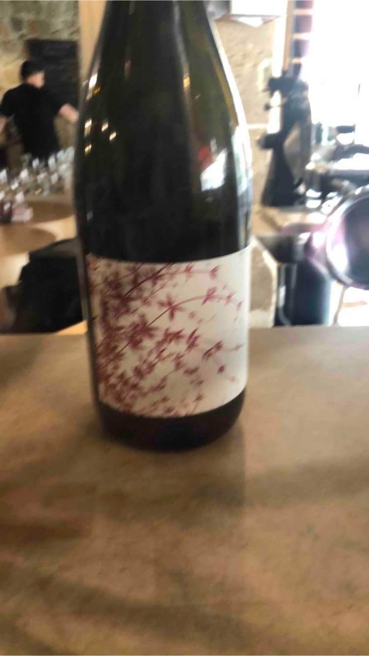 Vine Starr - Broc Cellars - Chris Brockway 