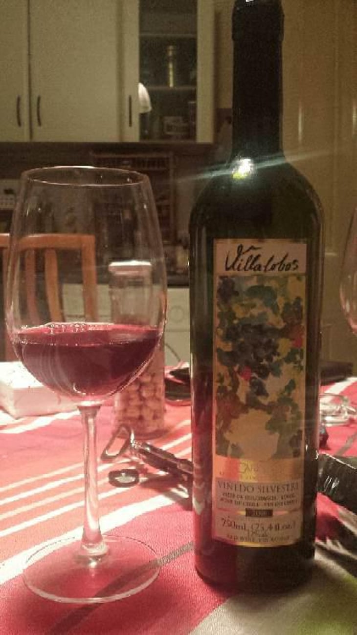 Viñedo Silvestre - Villalobos - Enrique Villalobos 