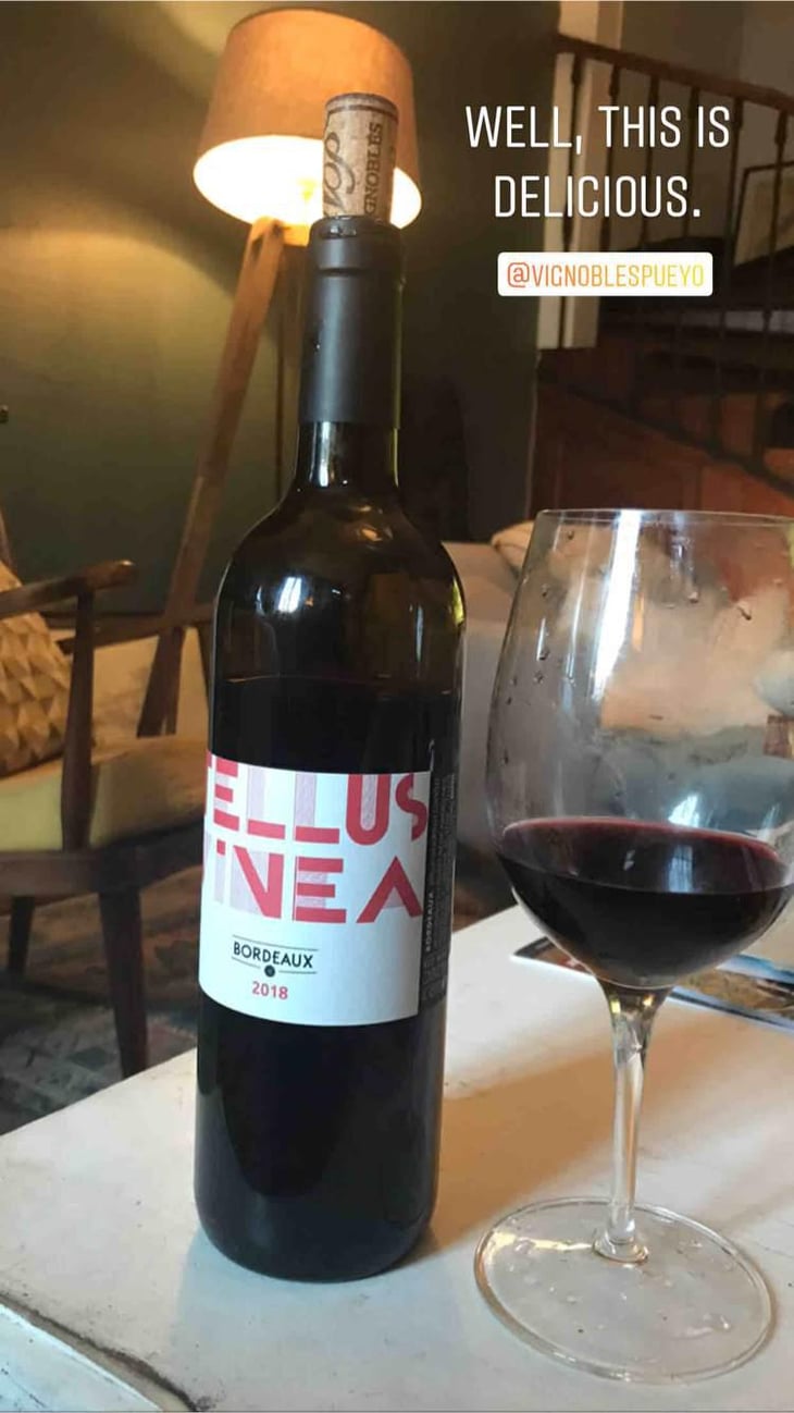 Tellus Vinea - Vignobles Pueyo - Christophe Pueyo 