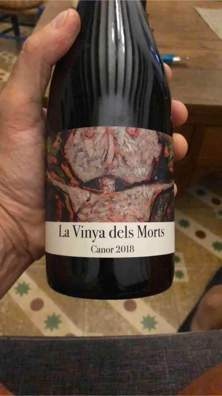 Vinya dels Morts - Vinyologia Canor - Juan Tàrrega 