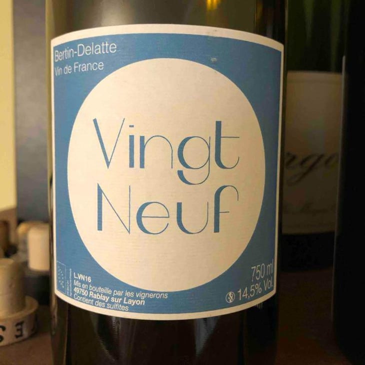 Vingt-neuf - Bertin Delatte - Nicolas Bertin & Geneviève Delatte 