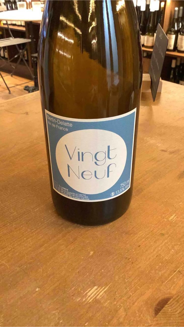 Vingt-neuf - Bertin Delatte - Nicolas Bertin & Geneviève Delatte 