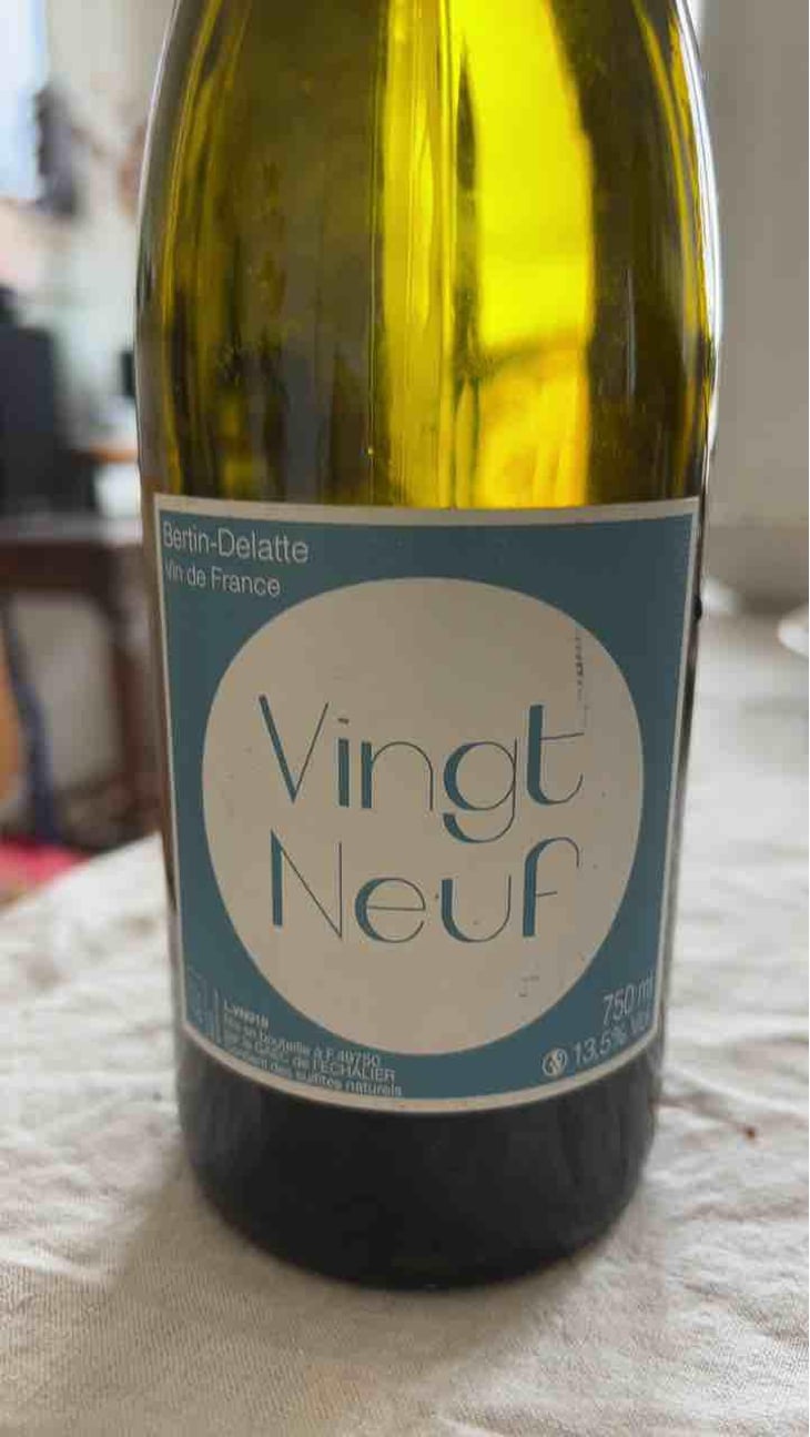 Vingt-neuf - Bertin Delatte - Nicolas Bertin & Geneviève Delatte 