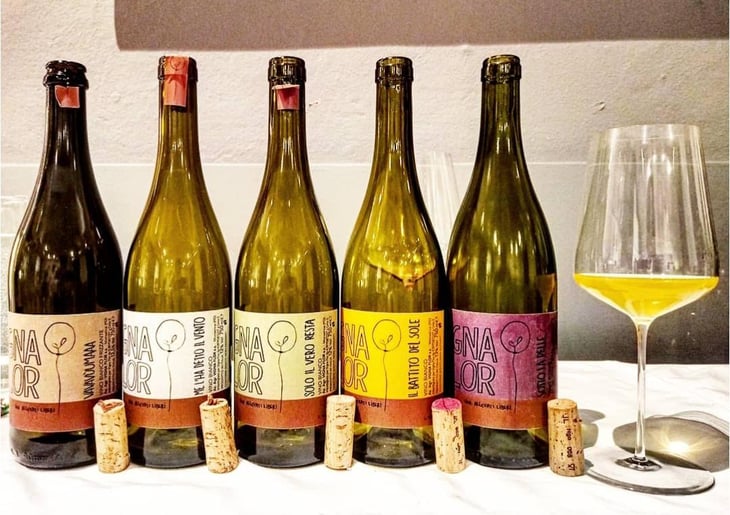 Il Battito Del Sole - Vigna Flor - Davide Boldrin & Francesca Gozzo 
