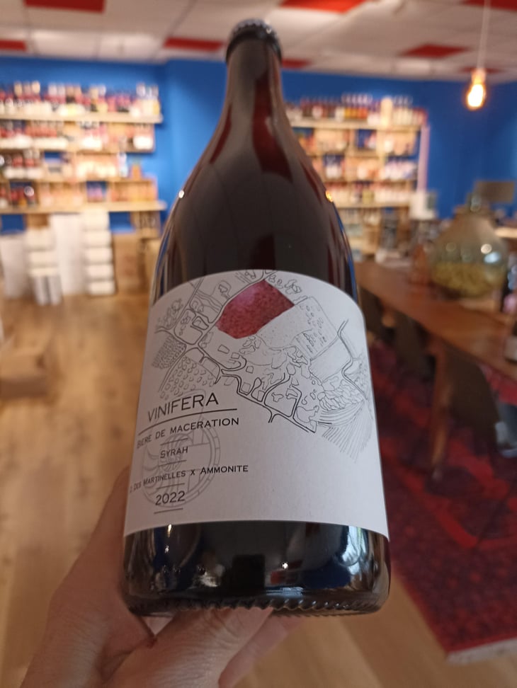 Vinifera (X Brasserie Ammonite) - Domaine des Martinelles & Aloès - Domaine des Martinelles & Aloès -2022