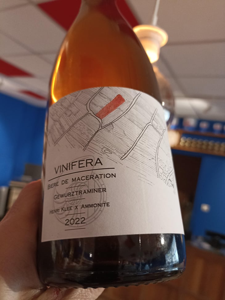 Vinifera (X Brasserie Ammonite) - Domaine Henri Klee - Henri Klee -2022