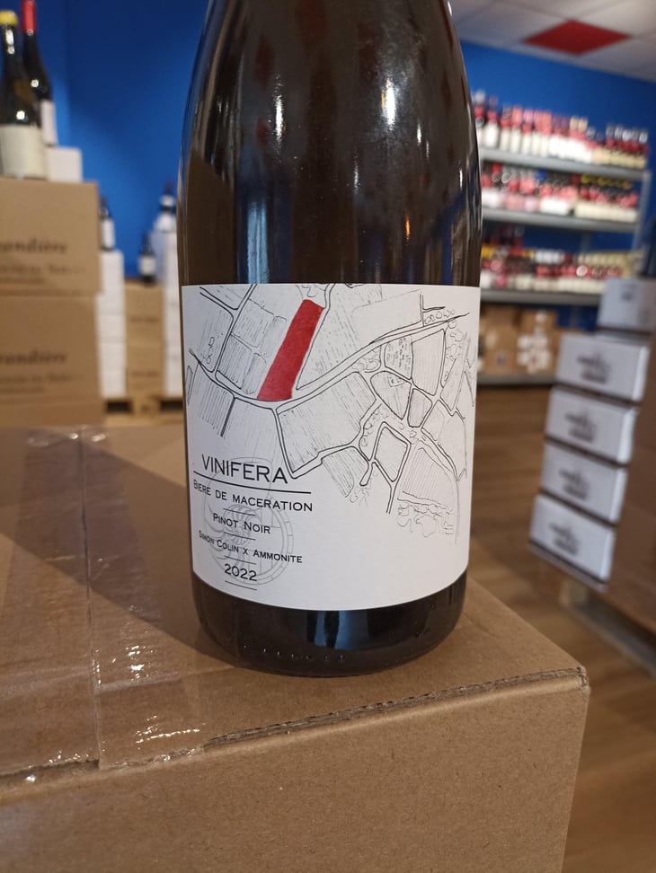 Vinifera (X Brasserie Ammonite) - Simon Colin - Simon Colin -2022