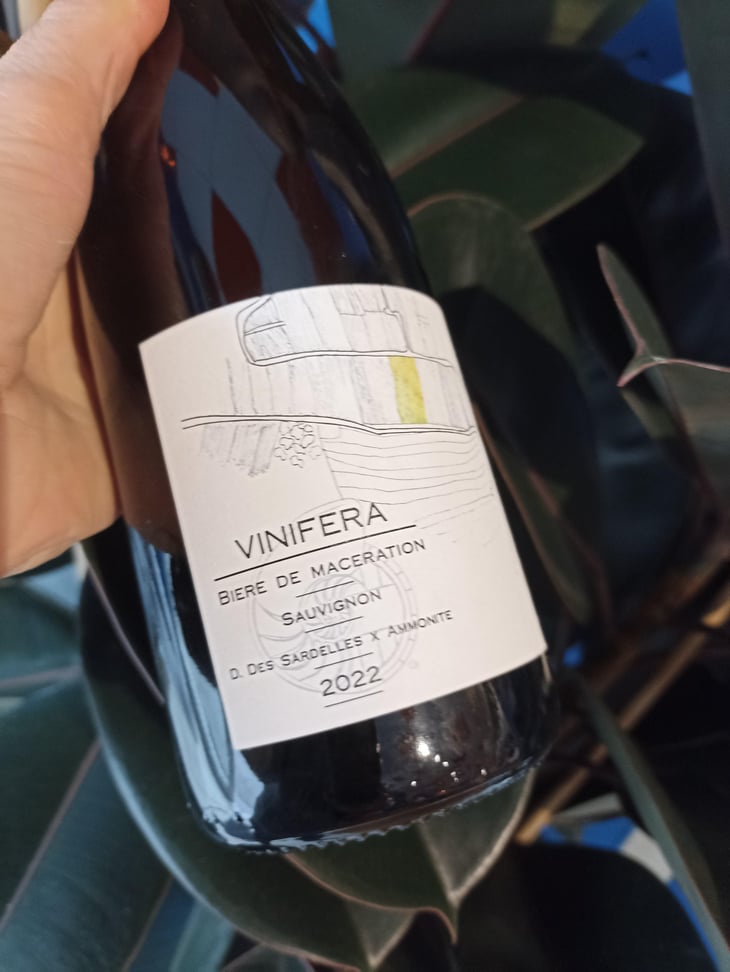Vinifera (X Brasserie Ammonite) - Domaine des Sardelles - Domaine des Sardelles -2022