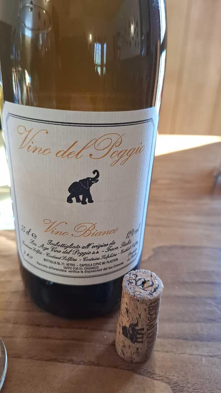Vino Bianco - Vino del Poggio - Andrea Cervini 