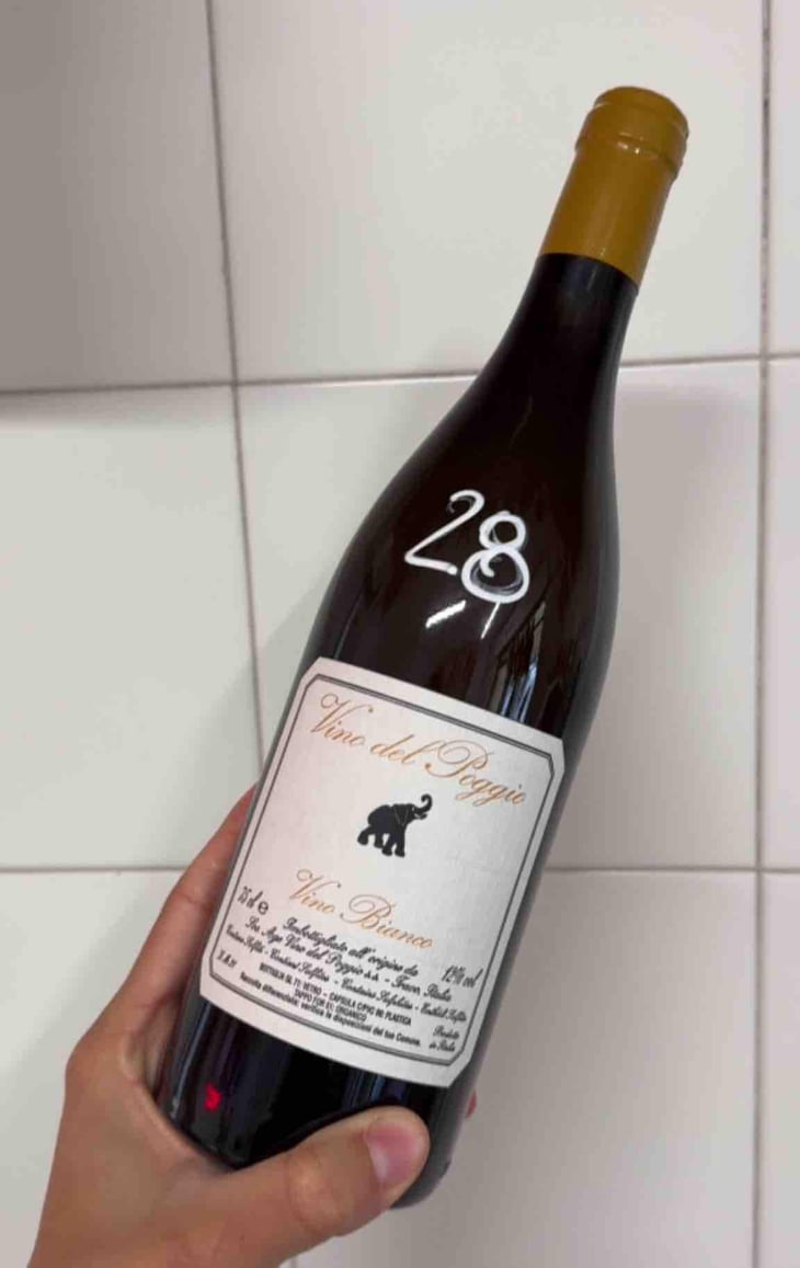 Vino Bianco - Vino del Poggio - Andrea Cervini 