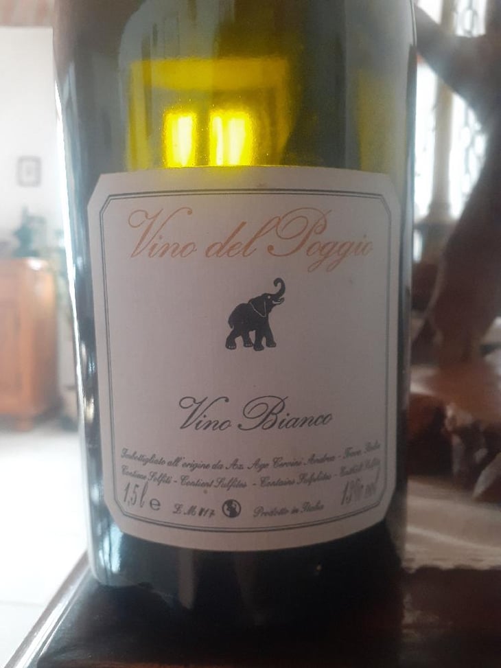 Vino Bianco - Vino del Poggio - Andrea Cervini -2020