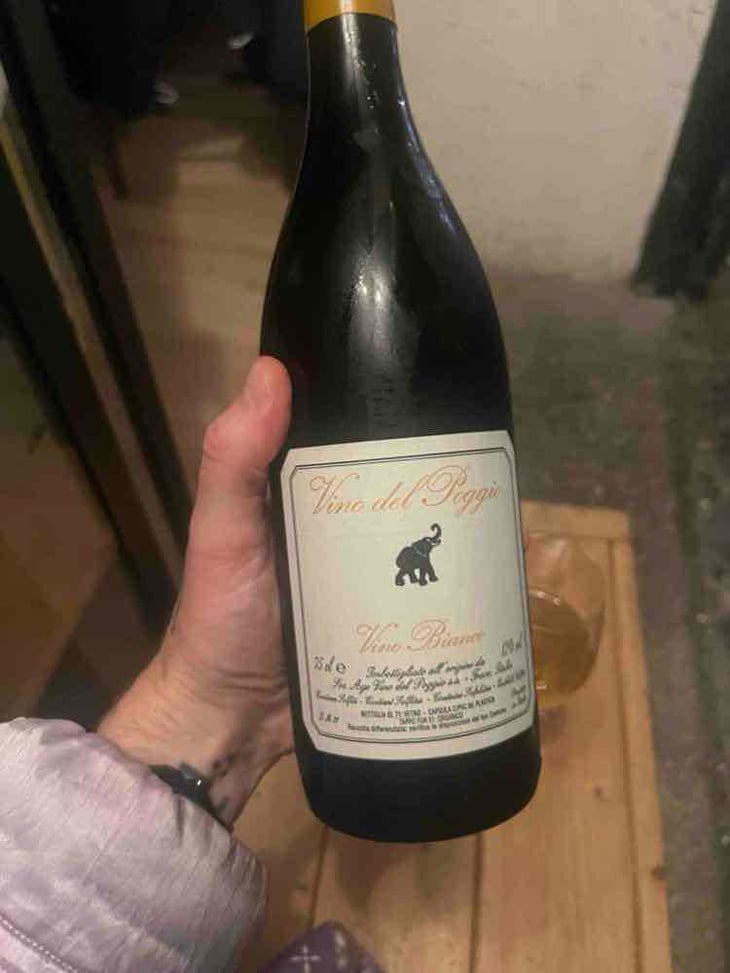 Vino Bianco - Vino del Poggio - Andrea Cervini 