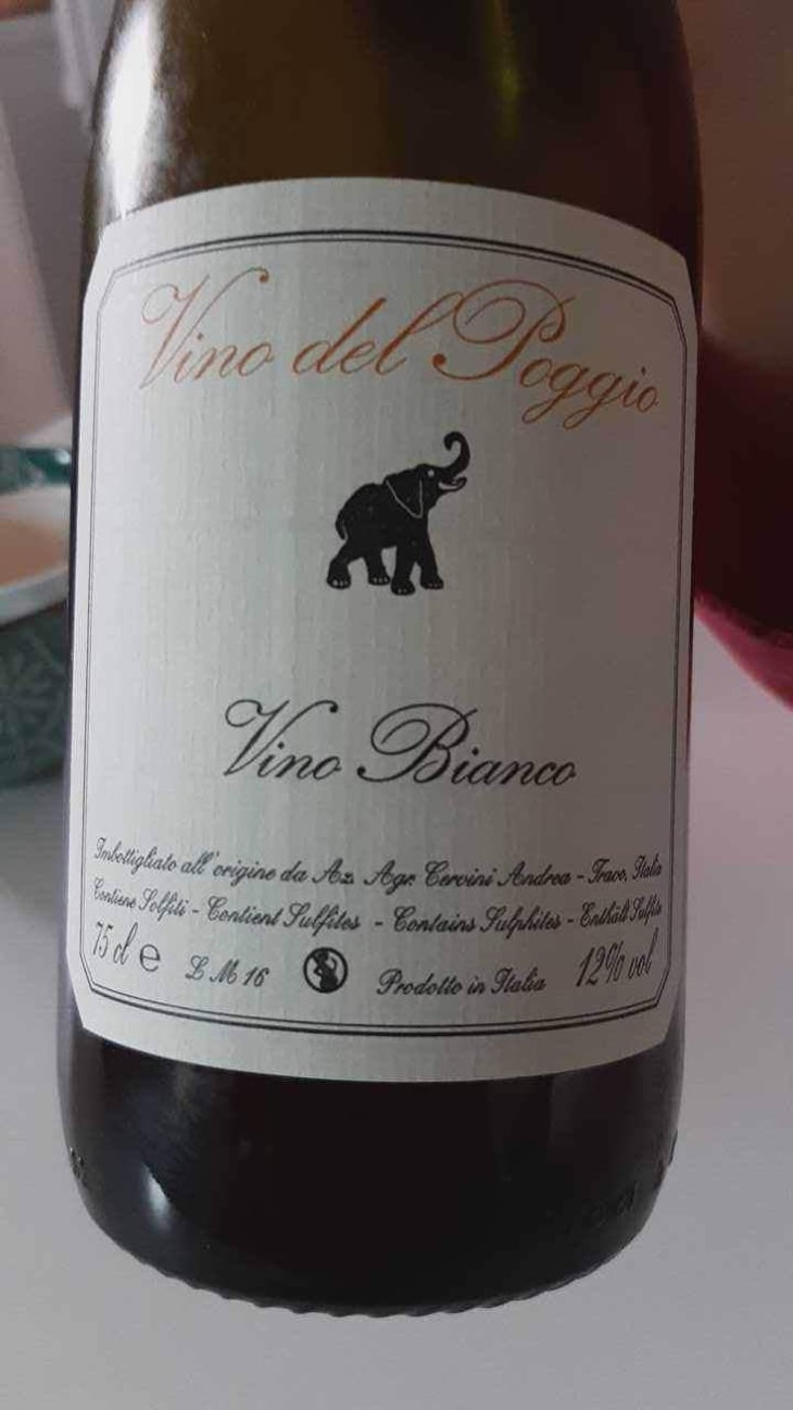 Vino Bianco - Vino del Poggio - Andrea Cervini 