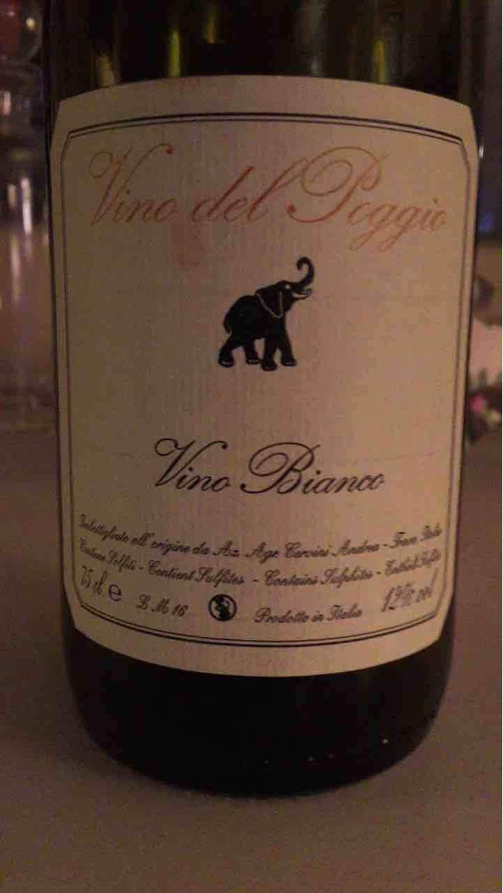 Vino Bianco - Vino del Poggio - Andrea Cervini 