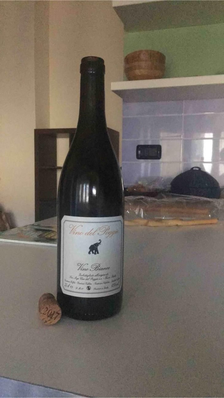 Vino Bianco - Vino del Poggio - Andrea Cervini 