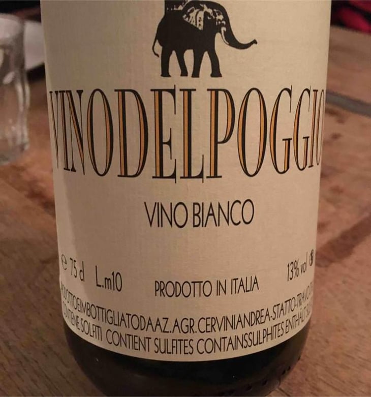 Vino Bianco - Vino del Poggio - Andrea Cervini 