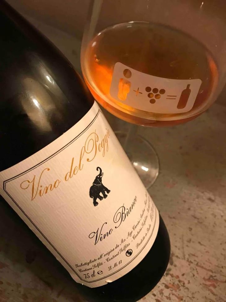Vino Bianco - Vino del Poggio - Andrea Cervini 