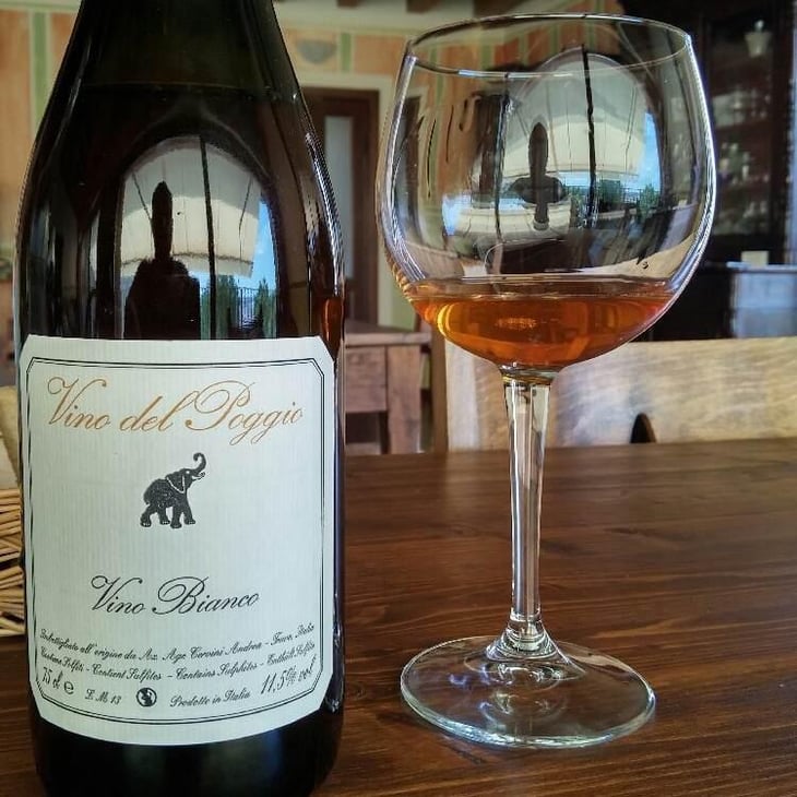Vino Bianco - Vino del Poggio - Andrea Cervini 