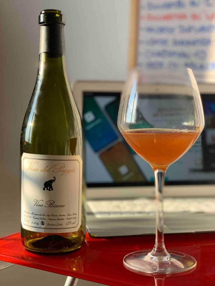 Vino Bianco - Vino del Poggio - Andrea Cervini 