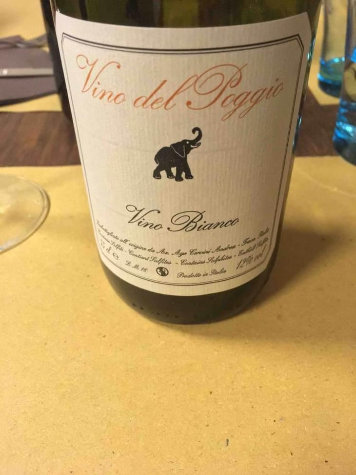 Vino Bianco - Vino del Poggio - Andrea Cervini 