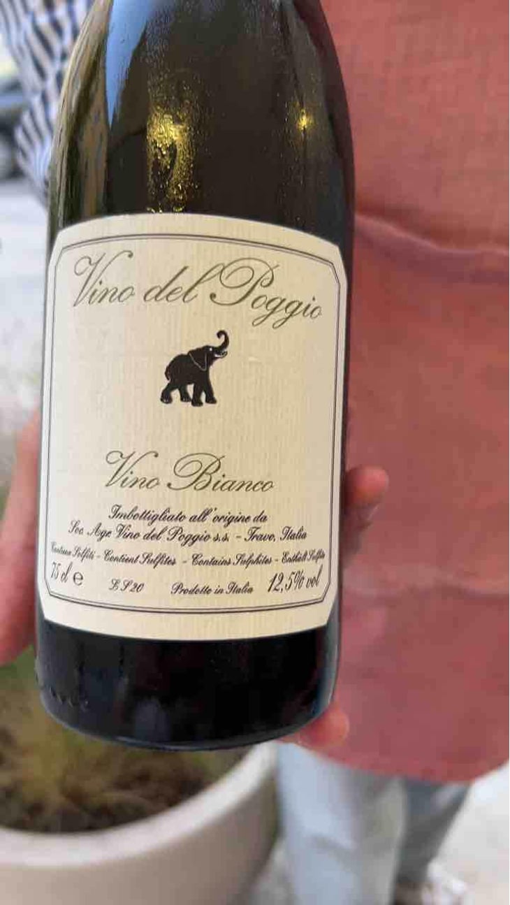 Vino Bianco - Vino del Poggio - Andrea Cervini 