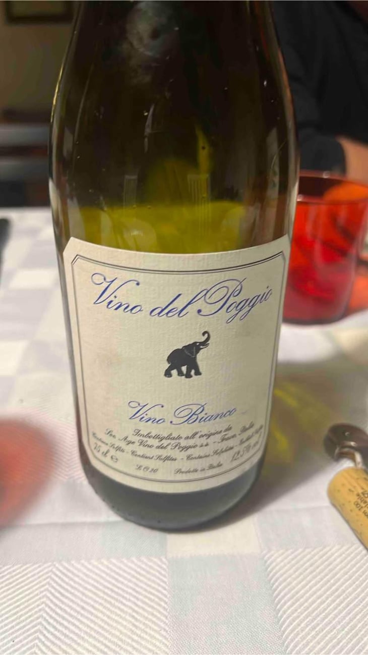 Vino Bianco - Vino del Poggio - Andrea Cervini 