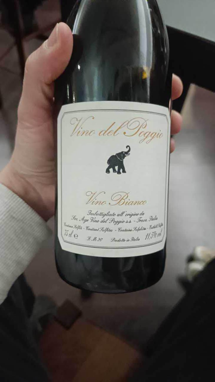 Vino Bianco - Vino del Poggio - Andrea Cervini 