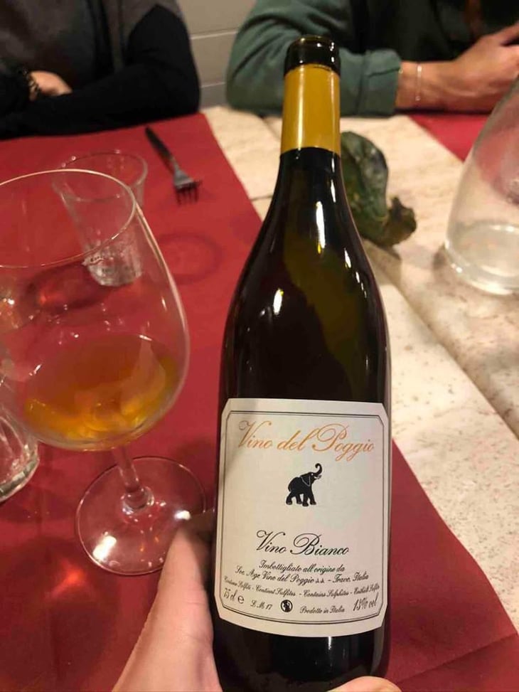 Vino Bianco - Vino del Poggio - Andrea Cervini 