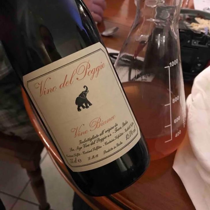 Vino Bianco - Vino del Poggio - Andrea Cervini 
