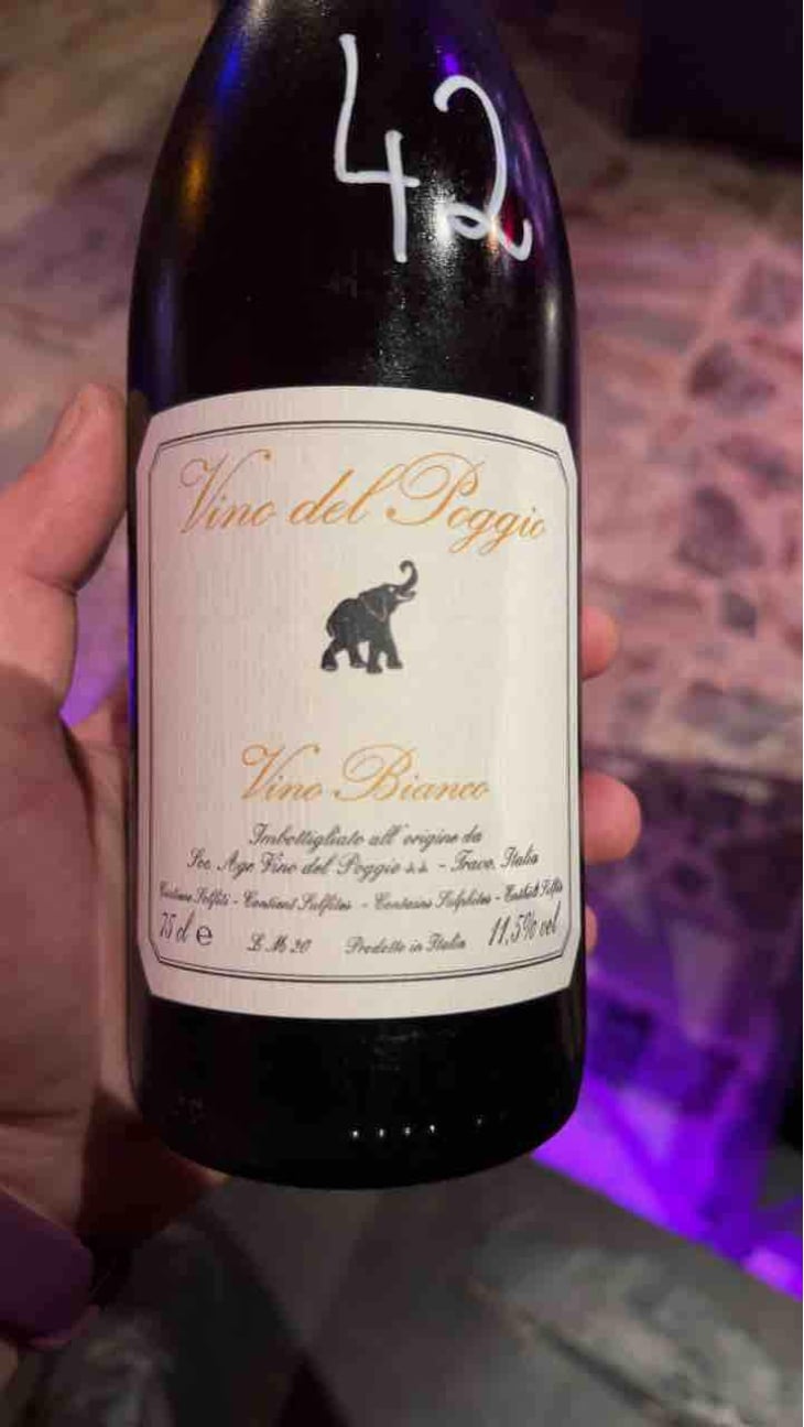 Vino Bianco - Vino del Poggio - Andrea Cervini 