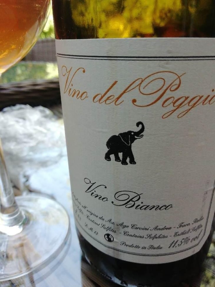 Vino Bianco - Vino del Poggio - Andrea Cervini 