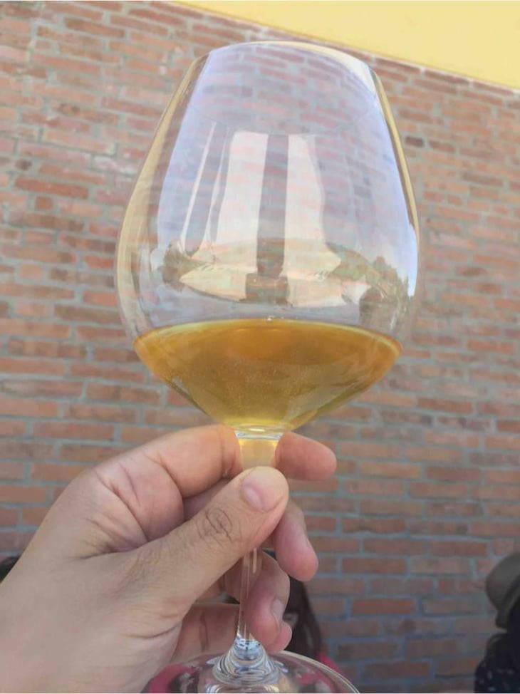 Vino Bianco - Vino del Poggio - Andrea Cervini 