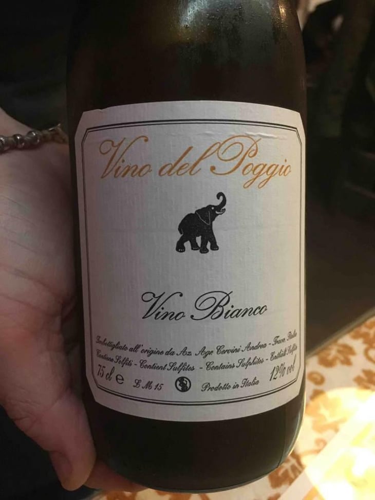 Vino Bianco - Vino del Poggio - Andrea Cervini 