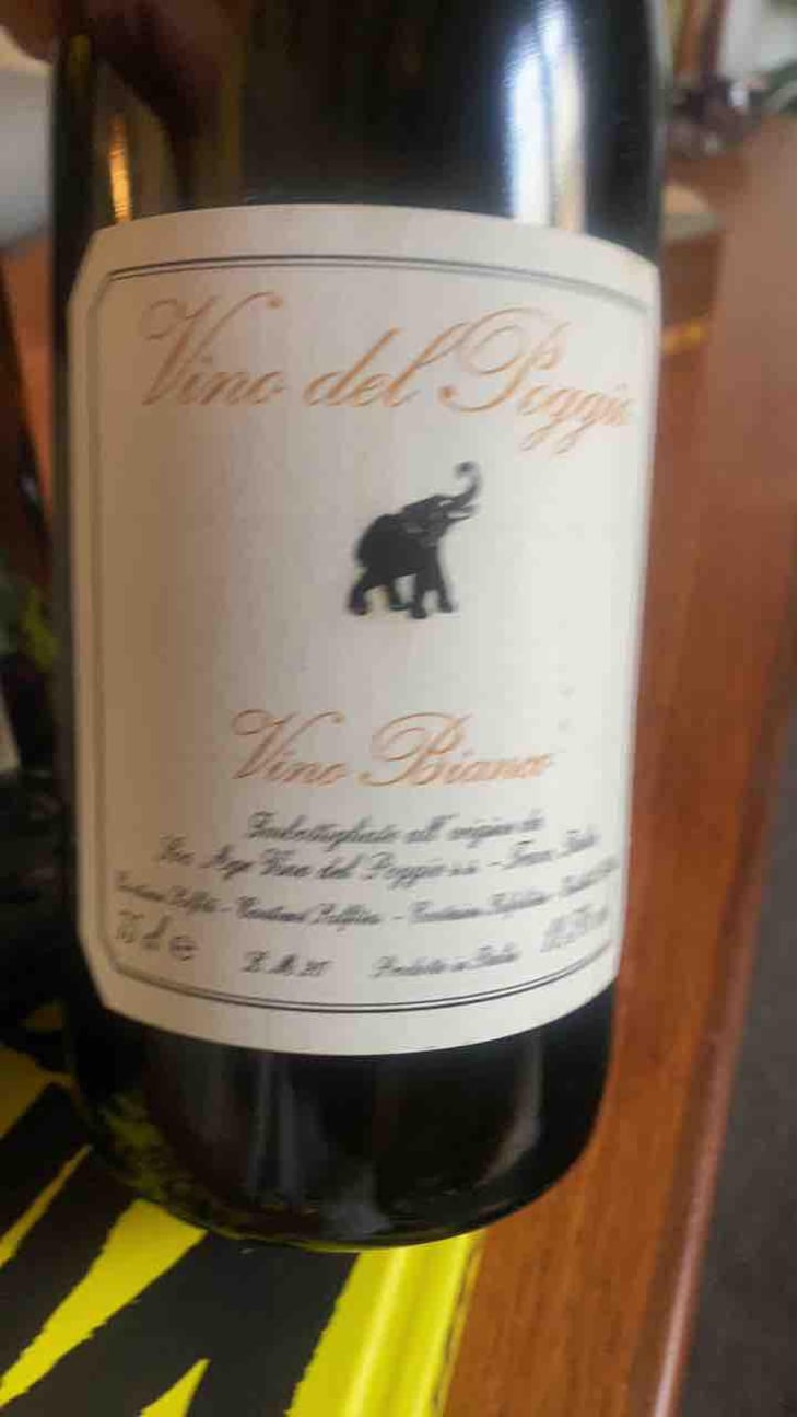 Vino Bianco - Vino del Poggio - Andrea Cervini 