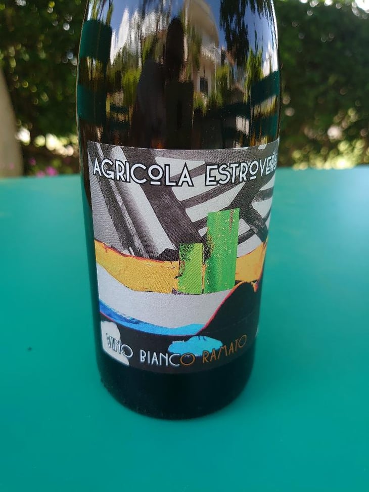 Vino Bianco Ramato - Agricola Estroversa - Antonio Santini -2022