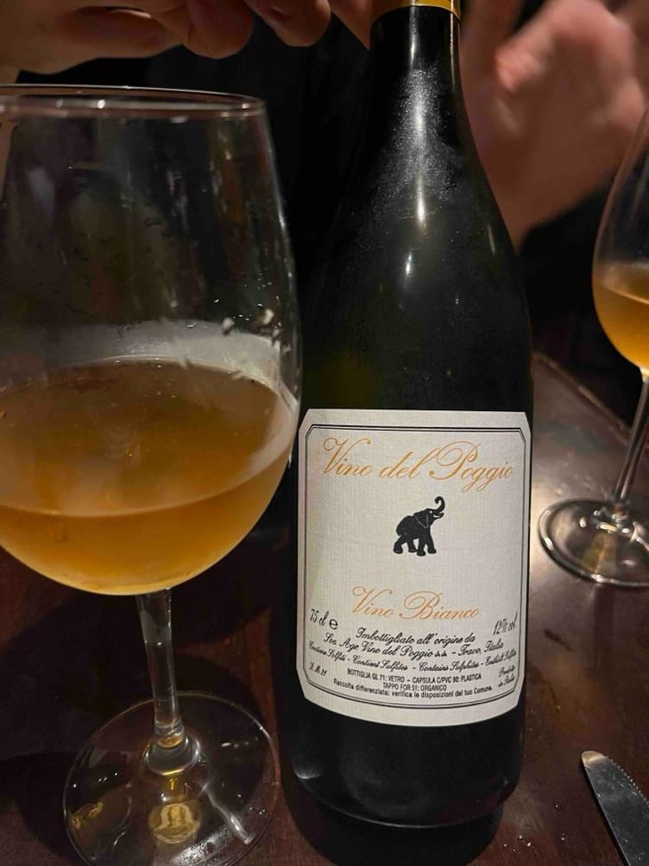 Vino Bianco - Vino del Poggio - Andrea Cervini 