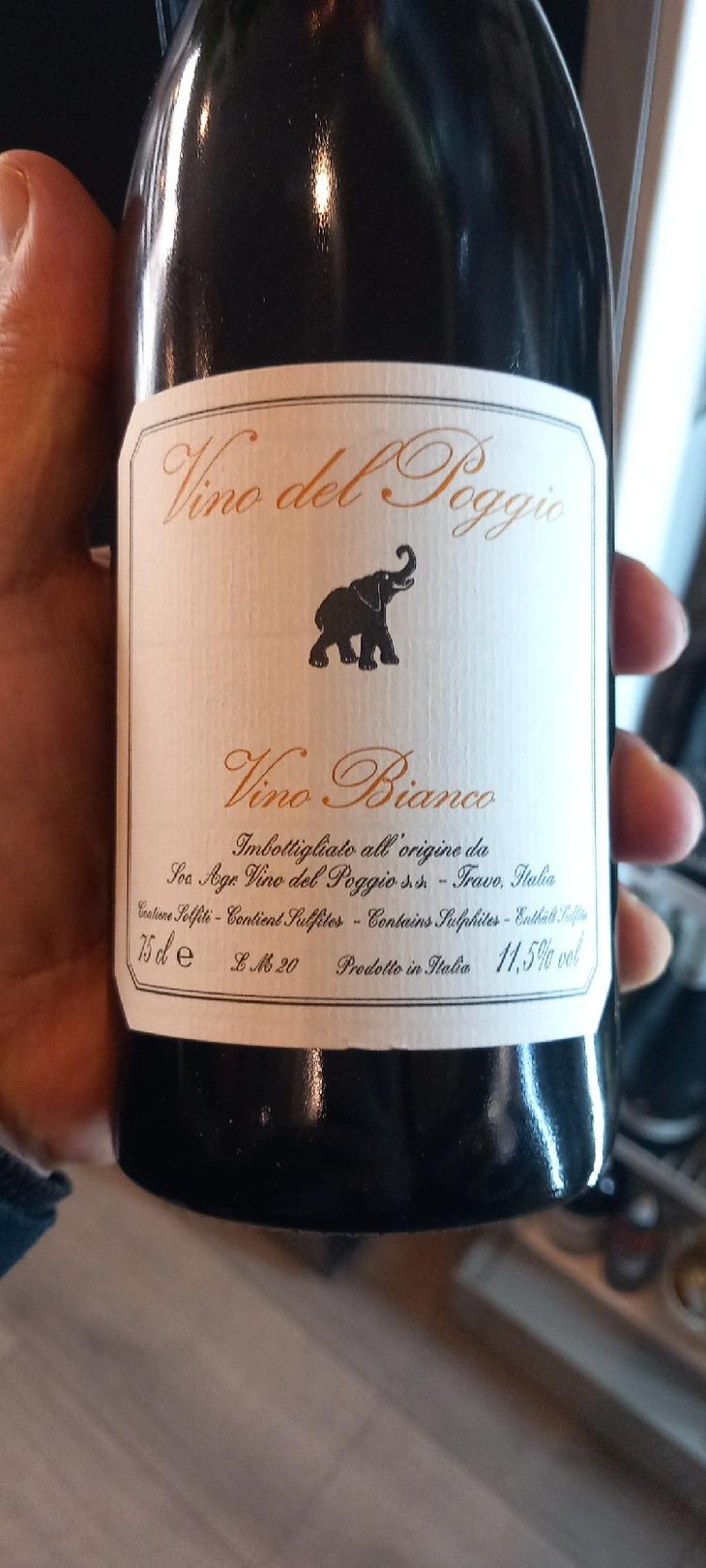 Vino Bianco - Vino del Poggio - Andrea Cervini 