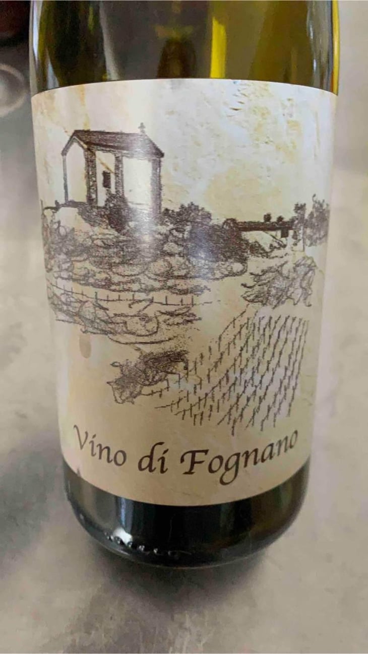 Vino Di Fognano - Fognano - Paolo Foppiani 