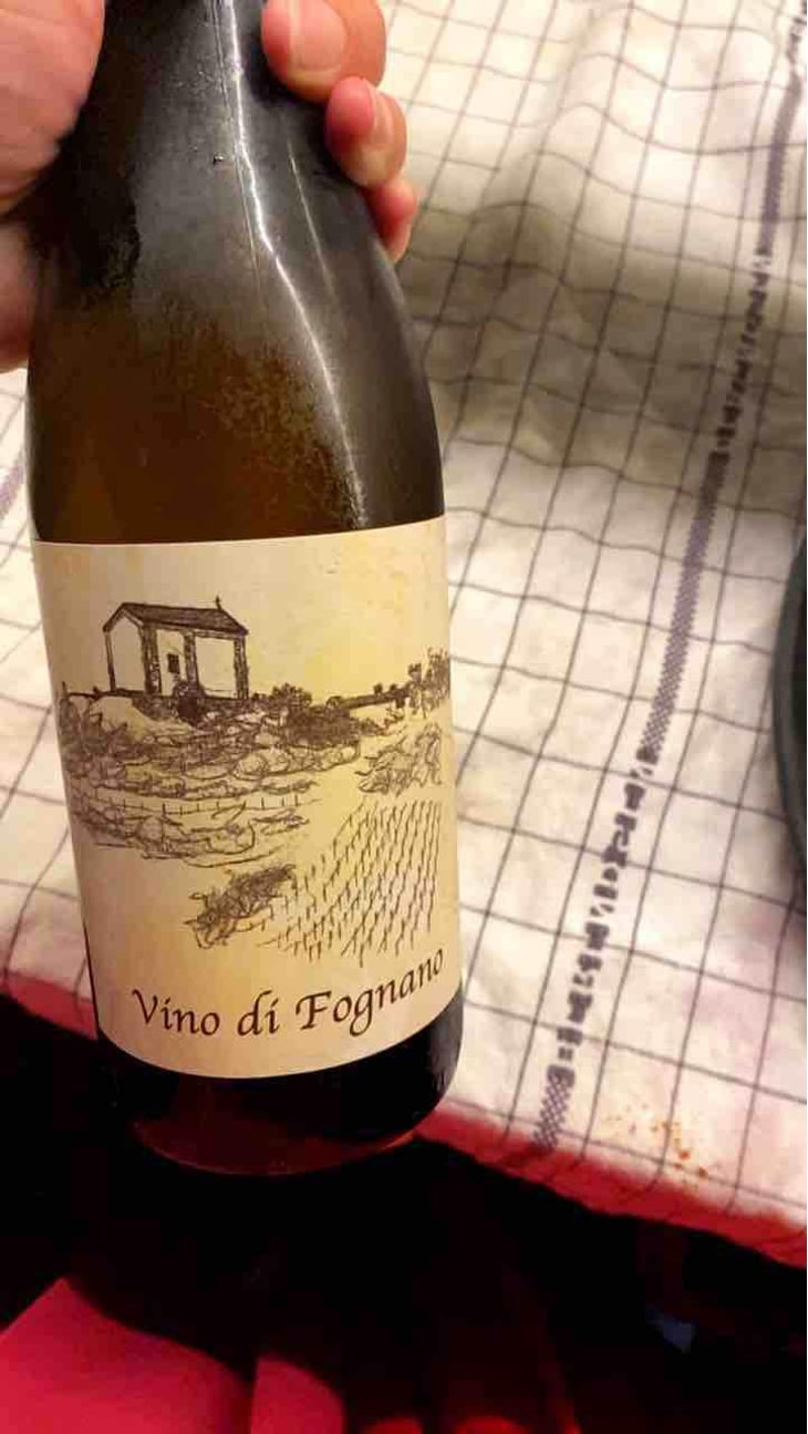 Vino Di Fognano - Fognano - Paolo Foppiani 