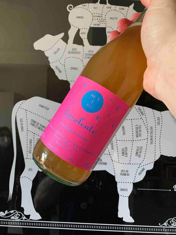 Vino Frizzante Ramato - Insolente Vini - Luca Elettri 