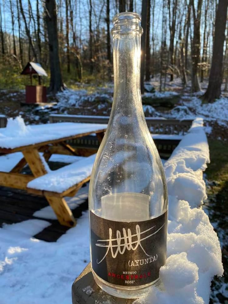 Vino Frizzante Rosato "Metodo Ancestrale" - Ayunta - Filippo Mangione 